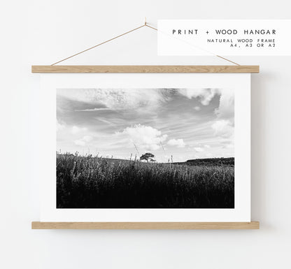 Lone Tree Black and White Photography Print - New Forest - Hampshire Photography Prints -  Frame and Canvas Options - Landscape  - UK