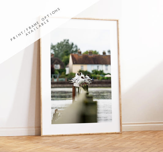 Bosham Photography Print - West Sussex Photography Prints - Wall Art -  Frame and Canvas Options - Portrait  - UK