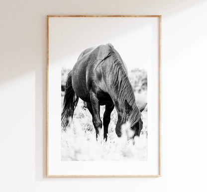 Horse Black and White Photography Print - New Forest - Hampshire Photography Prints - Wall Art -  Frame and Canvas Options - Portrait  - UK