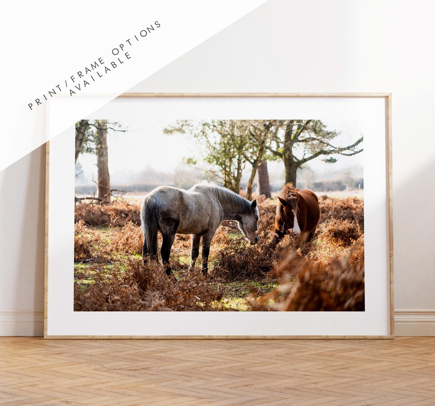 New Forest Ponies Photography Print - Hampshire Photography Prints - Wall Art -  Frame and Canvas Options - Landscape  - UK