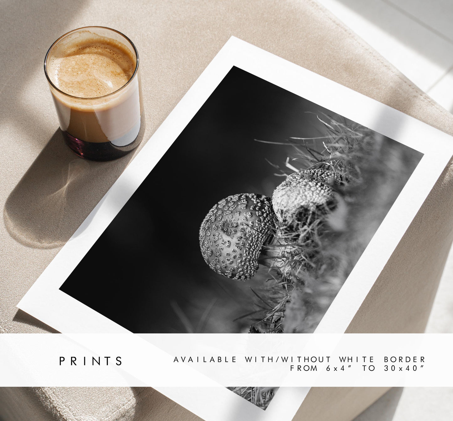 Mushroom Black and White Photography Print - Hampshire Photography Prints - Wall Art -  Frame and Canvas Options - Landscape  - UK