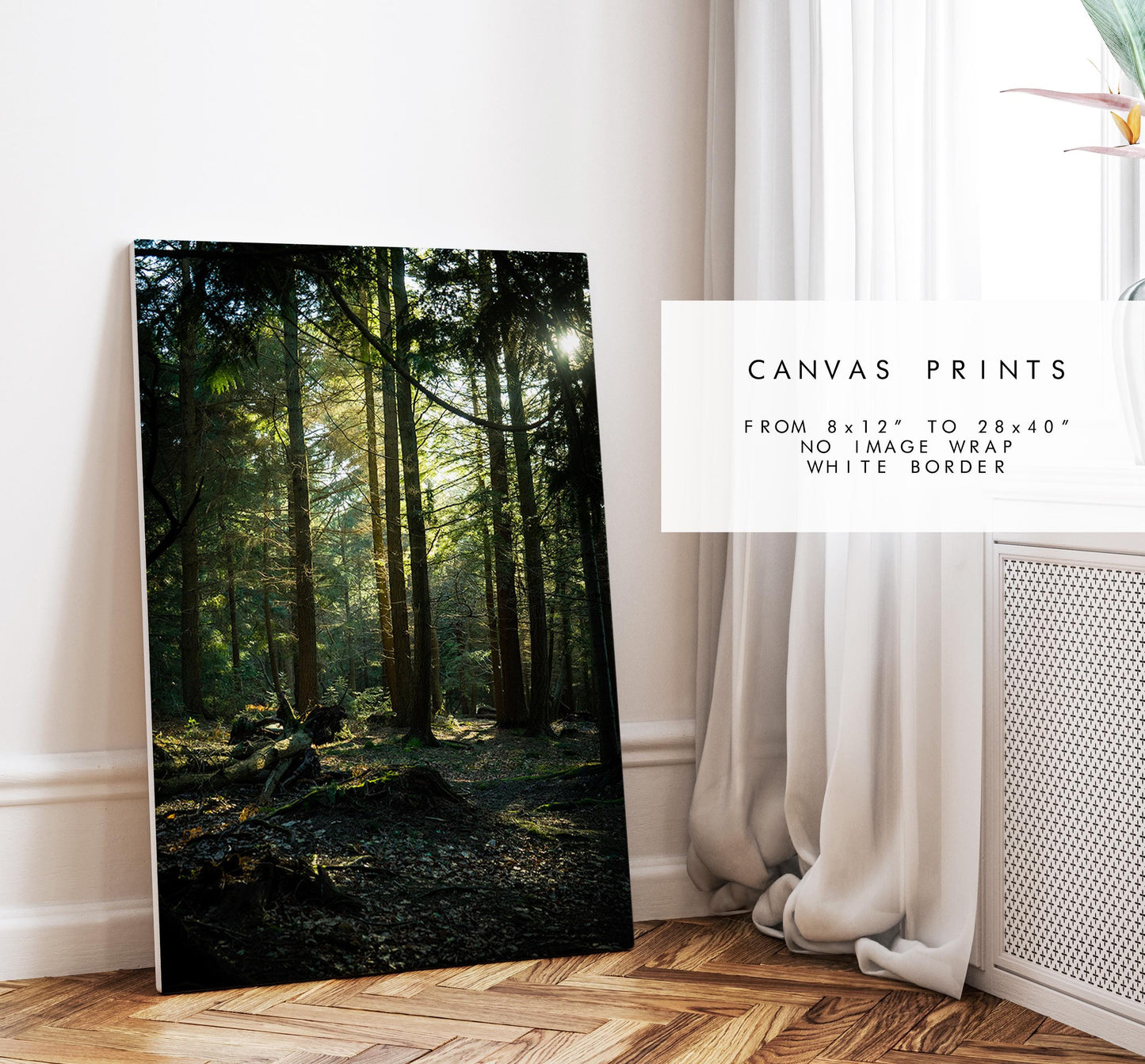 New Forest Photography Print - Hampshire Photography Prints - Wall Art -  Frame and Canvas Options - Portrait  - UK