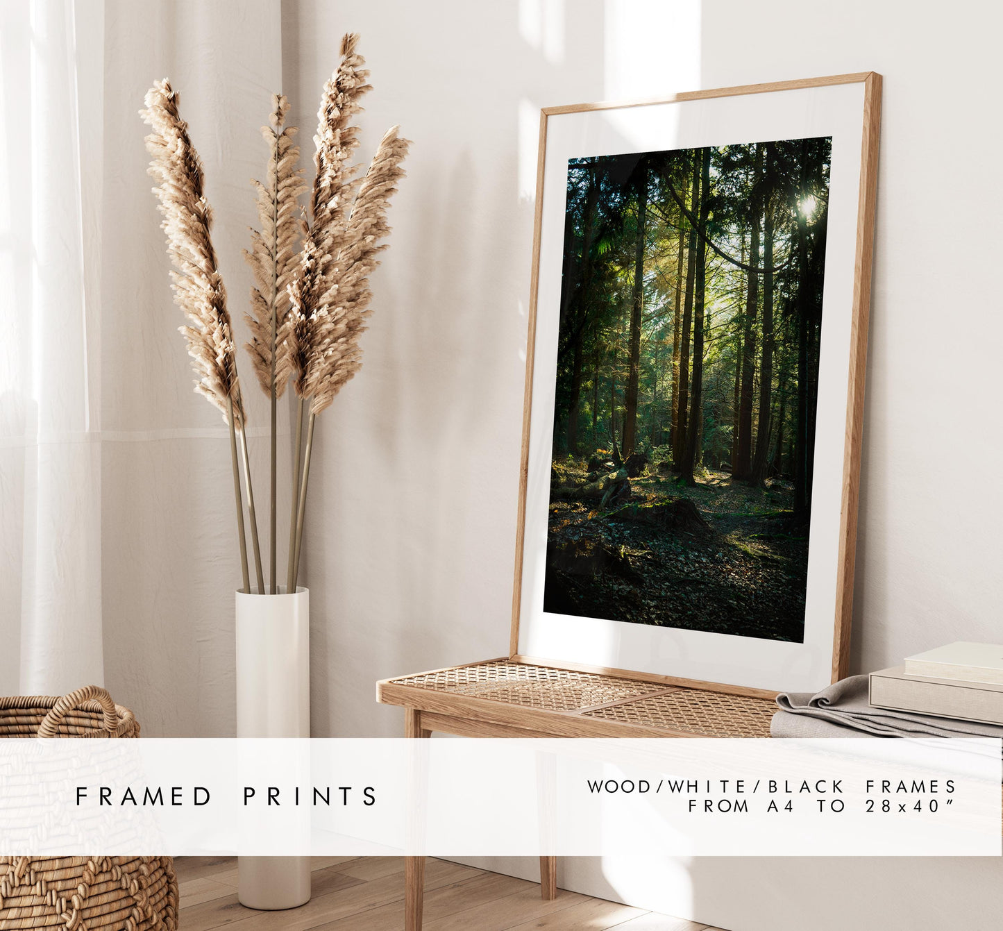 New Forest Photography Print - Hampshire Photography Prints - Wall Art -  Frame and Canvas Options - Portrait  - UK