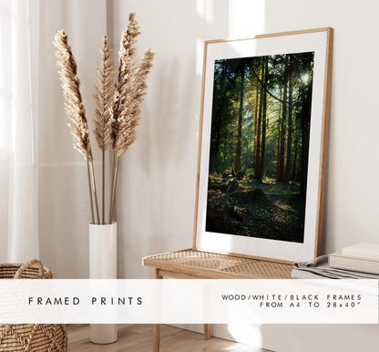 New Forest Photography Print - Hampshire Photography Prints - Wall Art -  Frame and Canvas Options - Portrait  - UK