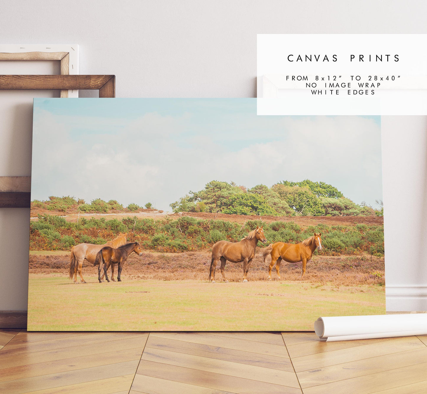 New Forest Photography Print - Hampshire Photography Prints - Wall Art -  Frame and Canvas Options - Landscape  - UK