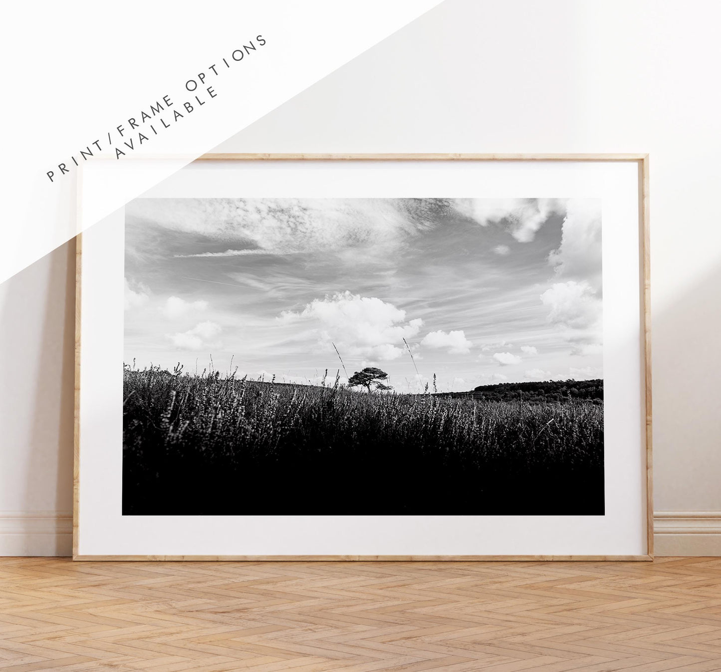 Lone Tree Black and White Photography Print - New Forest - Hampshire Photography Prints -  Frame and Canvas Options - Landscape  - UK
