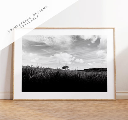 Lone Tree Black and White Photography Print - New Forest - Hampshire Photography Prints -  Frame and Canvas Options - Landscape  - UK
