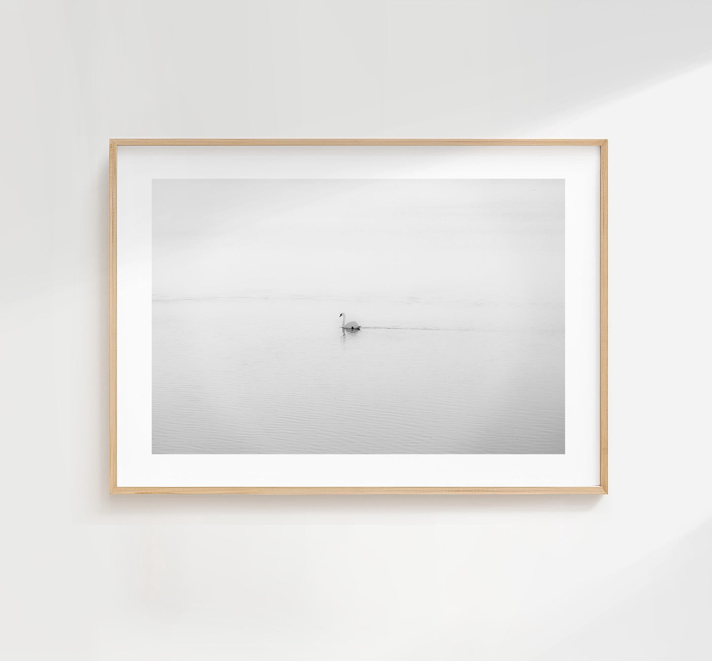 Swan Black and White Photography Print - Hampshire Photography Prints - Wall Art -  Frame and Canvas Options - Landscape  - UK