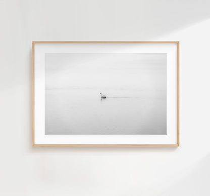 Swan Black and White Photography Print - Hampshire Photography Prints - Wall Art -  Frame and Canvas Options - Landscape  - UK