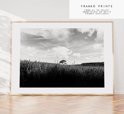 Lone Tree Black and White Photography Print - New Forest - Hampshire Photography Prints -  Frame and Canvas Options - Landscape  - UK