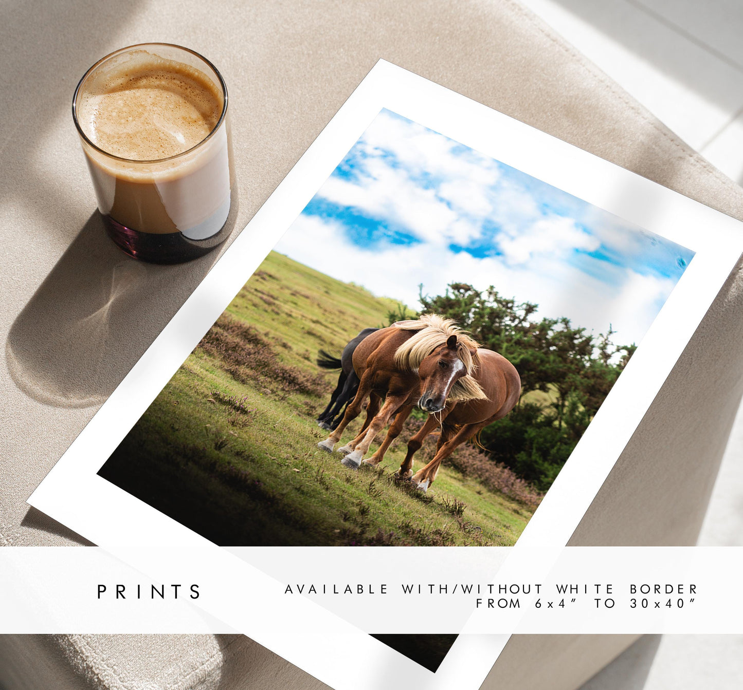 New Forest Pony Photography Print - Hampshire Photography Prints - Wall Art -  Frame and Canvas Options - Portrait  - UK