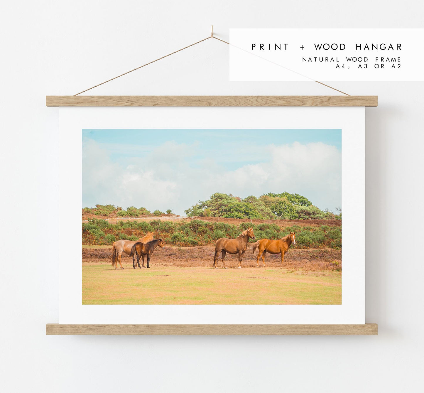 New Forest Photography Print - Hampshire Photography Prints - Wall Art -  Frame and Canvas Options - Landscape  - UK