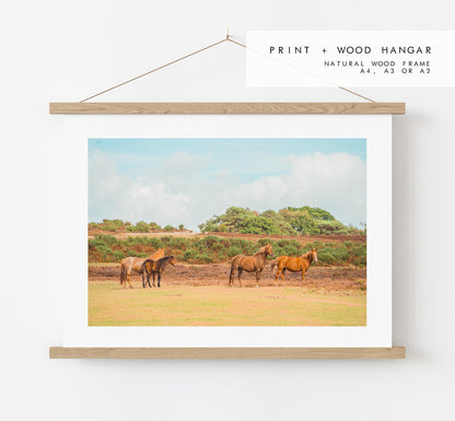 New Forest Photography Print - Hampshire Photography Prints - Wall Art -  Frame and Canvas Options - Landscape  - UK