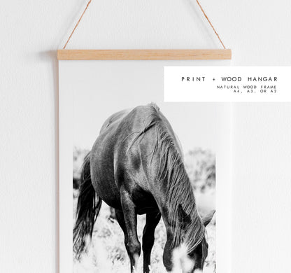 Horse Black and White Photography Print - New Forest - Hampshire Photography Prints - Wall Art -  Frame and Canvas Options - Portrait  - UK