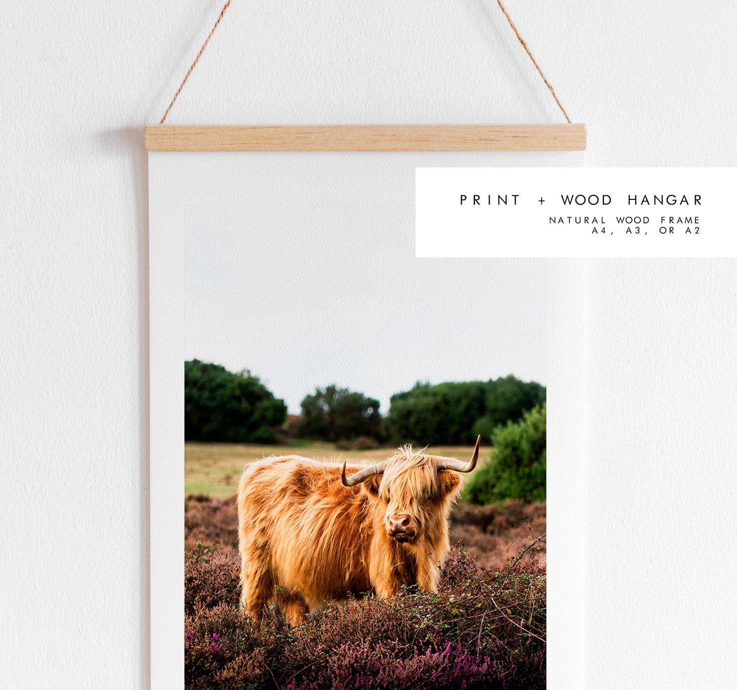 Highland Cow Photography Print - New Forest - Hampshire Photography Prints - Wall Art -  Frame and Canvas Options - Portrait  - UK