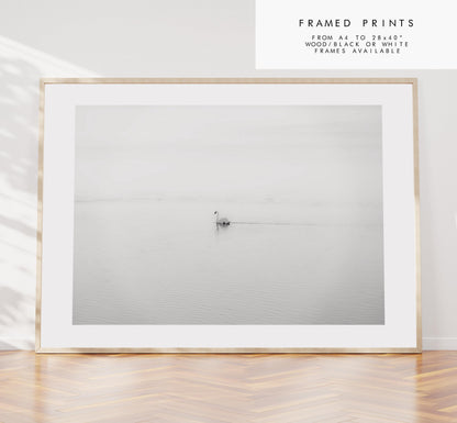 Swan Black and White Photography Print - Hampshire Photography Prints - Wall Art -  Frame and Canvas Options - Landscape  - UK