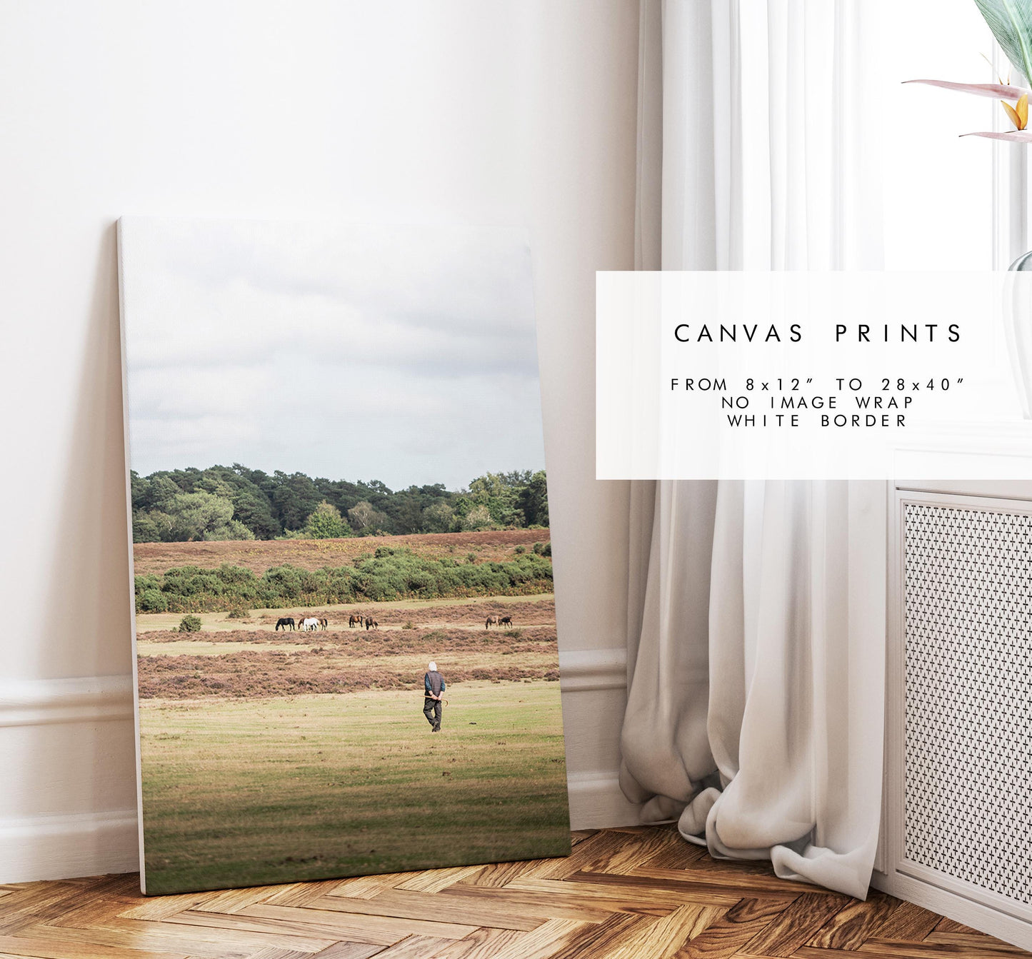 New Forest Photography Print - Hampshire Photography Prints - Wall Art -  Frame and Canvas Options - Portrait  - UK