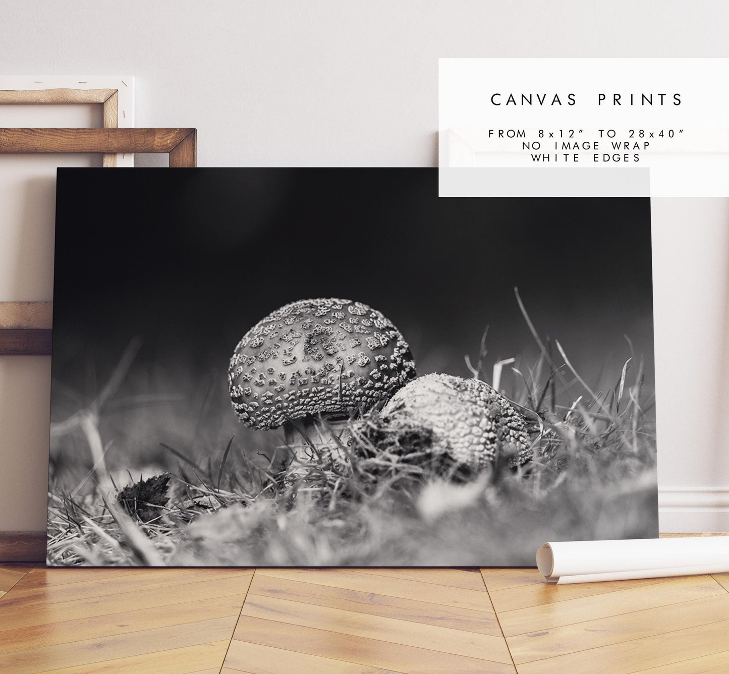 Mushroom Black and White Photography Print - Hampshire Photography Prints - Wall Art -  Frame and Canvas Options - Landscape  - UK