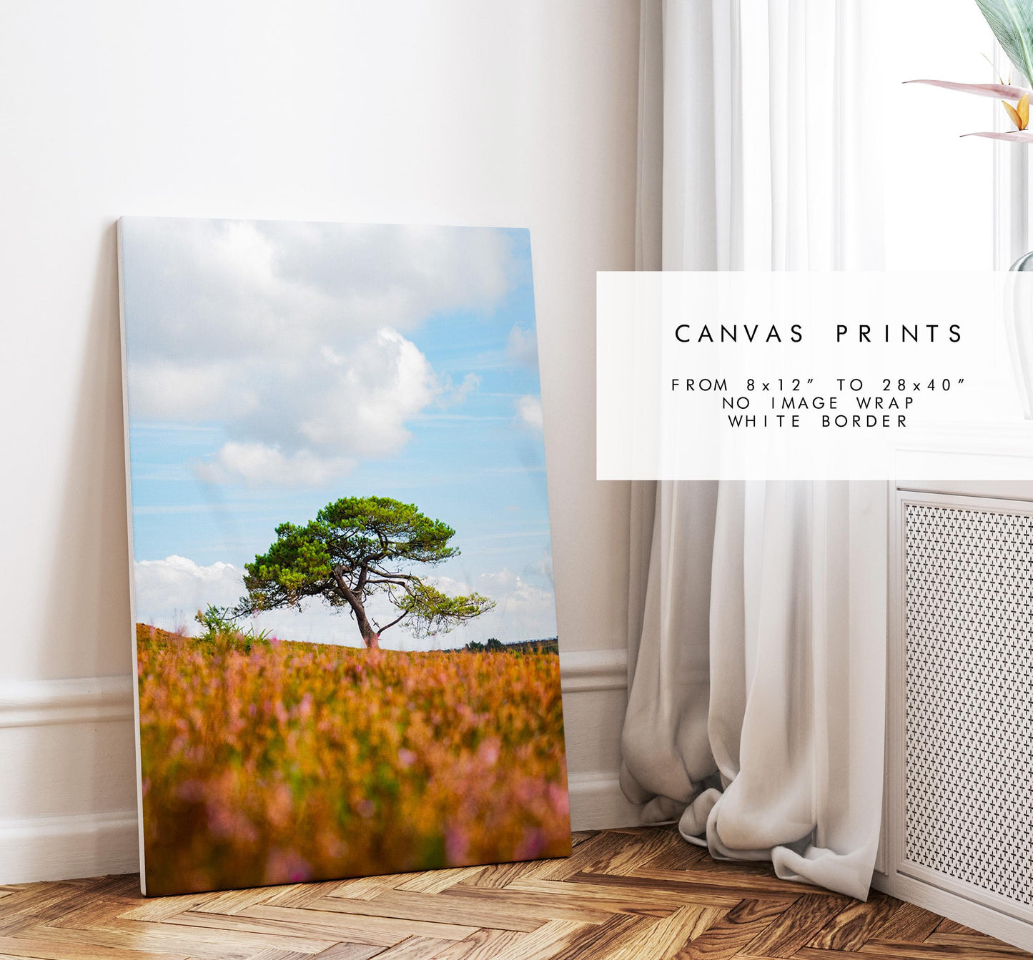 New Forest Photography Print - Hampshire Photography Prints - Wall Art -  Frame and Canvas Options - Portrait  - UK