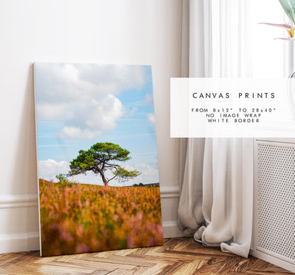 New Forest Photography Print - Hampshire Photography Prints - Wall Art -  Frame and Canvas Options - Portrait  - UK