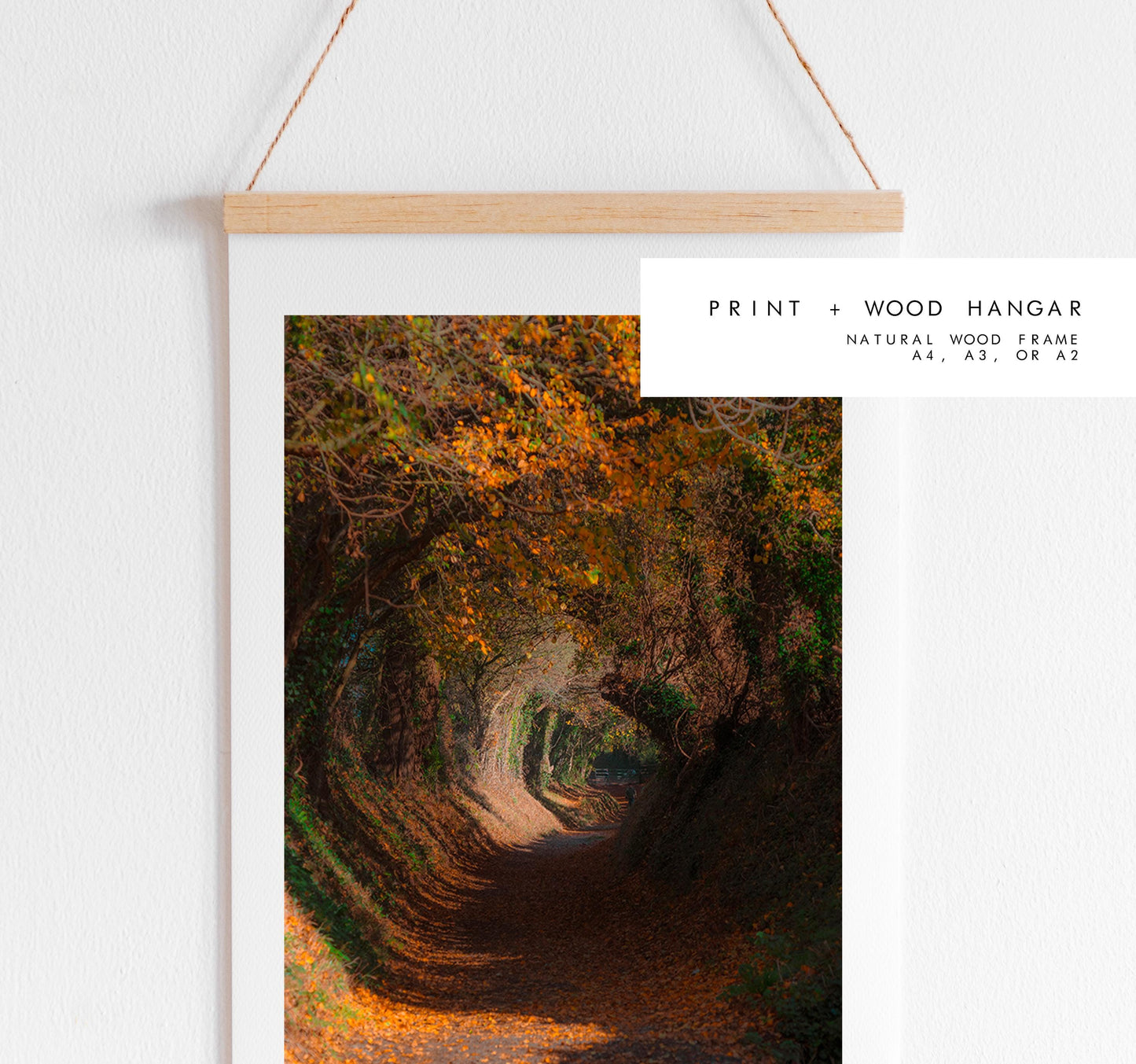 Halnaker Tree Tunnel Photography Print - West Sussex Photography Prints - Wall Art -  Frame and Canvas Options - Portrait  - UK