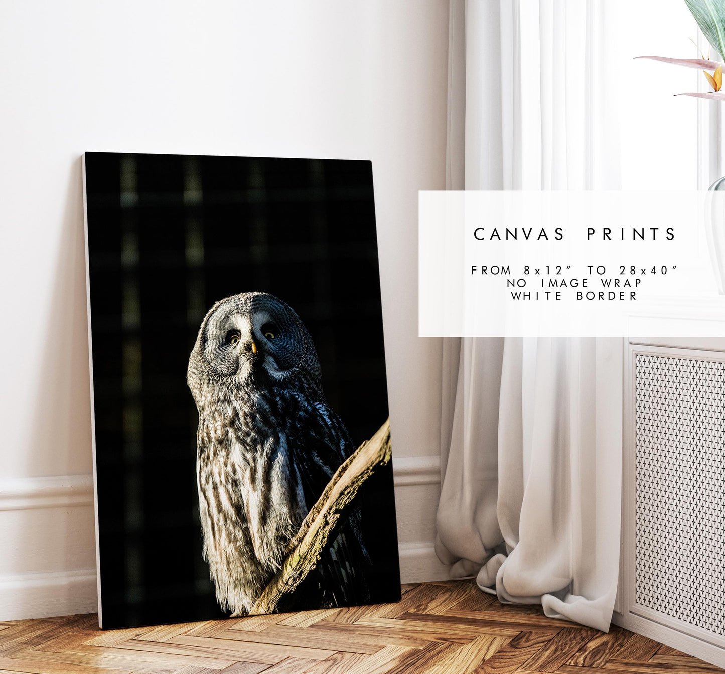 Great Grey Owl Photography Print - Hampshire Photography Prints - Wall Art -  Frame and Canvas Options - Portrait  - UK