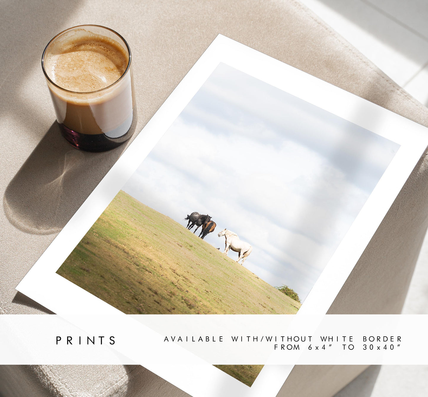 New Forest Pony Photography Print - Hampshire Photography Prints - Wall Art -  Frame and Canvas Options - Portrait  - UK