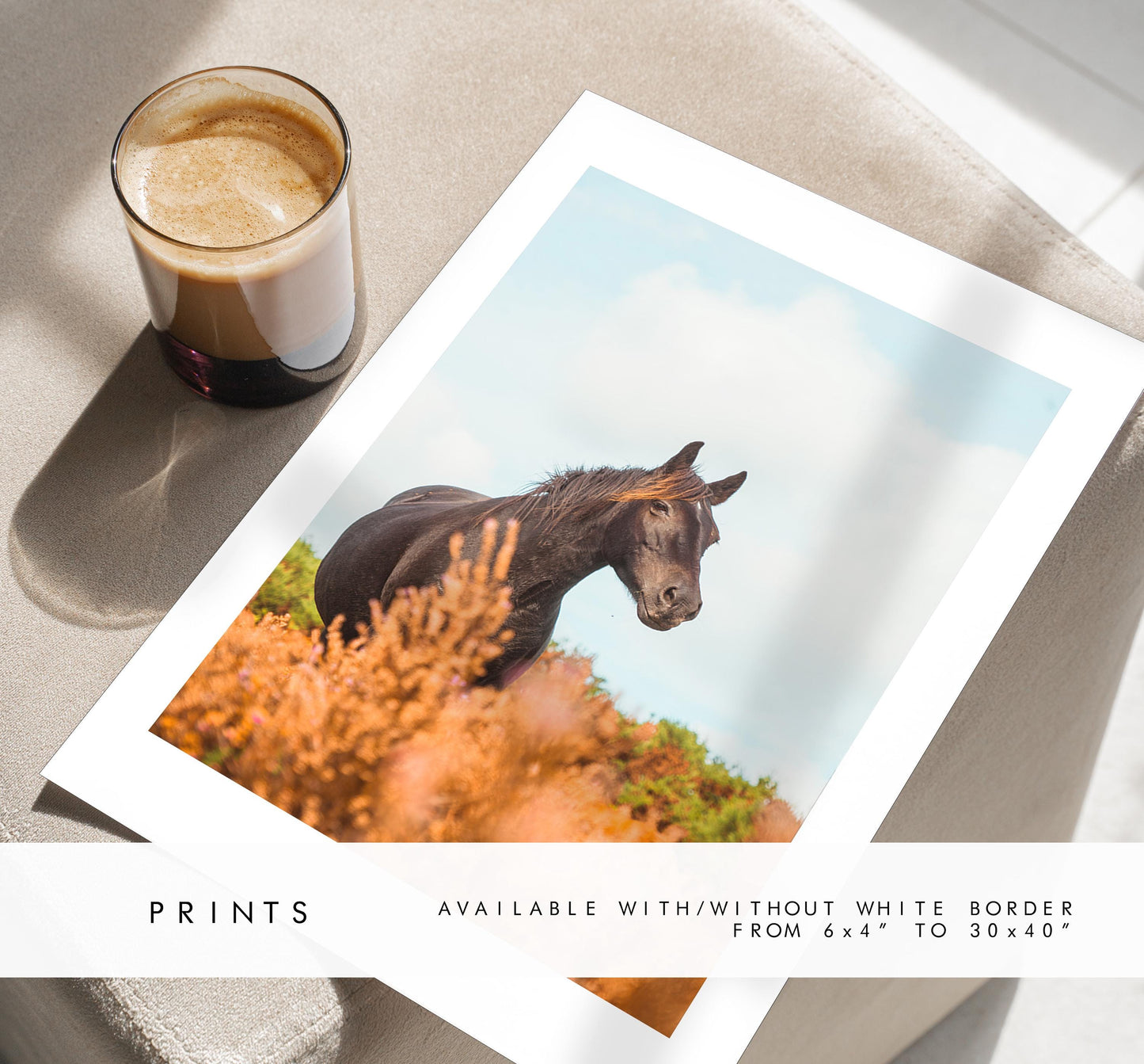 Horse Photography Print - New Forest - Hampshire Photography Prints - Wall Art -  Frame and Canvas Options - Portrait  - UK
