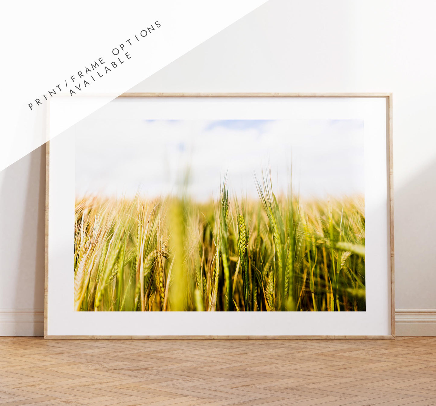 Wheat Field Photography Print - West Sussex Photography Prints - Wall Art -  Frame and Canvas Options - Landscape  - UK