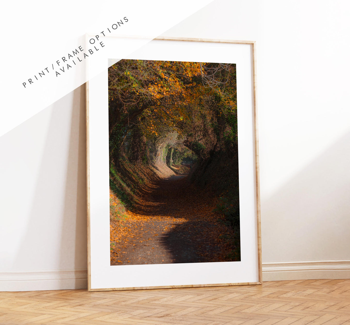 Halnaker Tree Tunnel Photography Print - West Sussex Photography Prints - Wall Art -  Frame and Canvas Options - Portrait  - UK