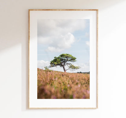 Lone Tree Photography Print - New Forest - Hampshire Photography Prints - Wall Art -  Frame and Canvas Options - Portrait  - UK