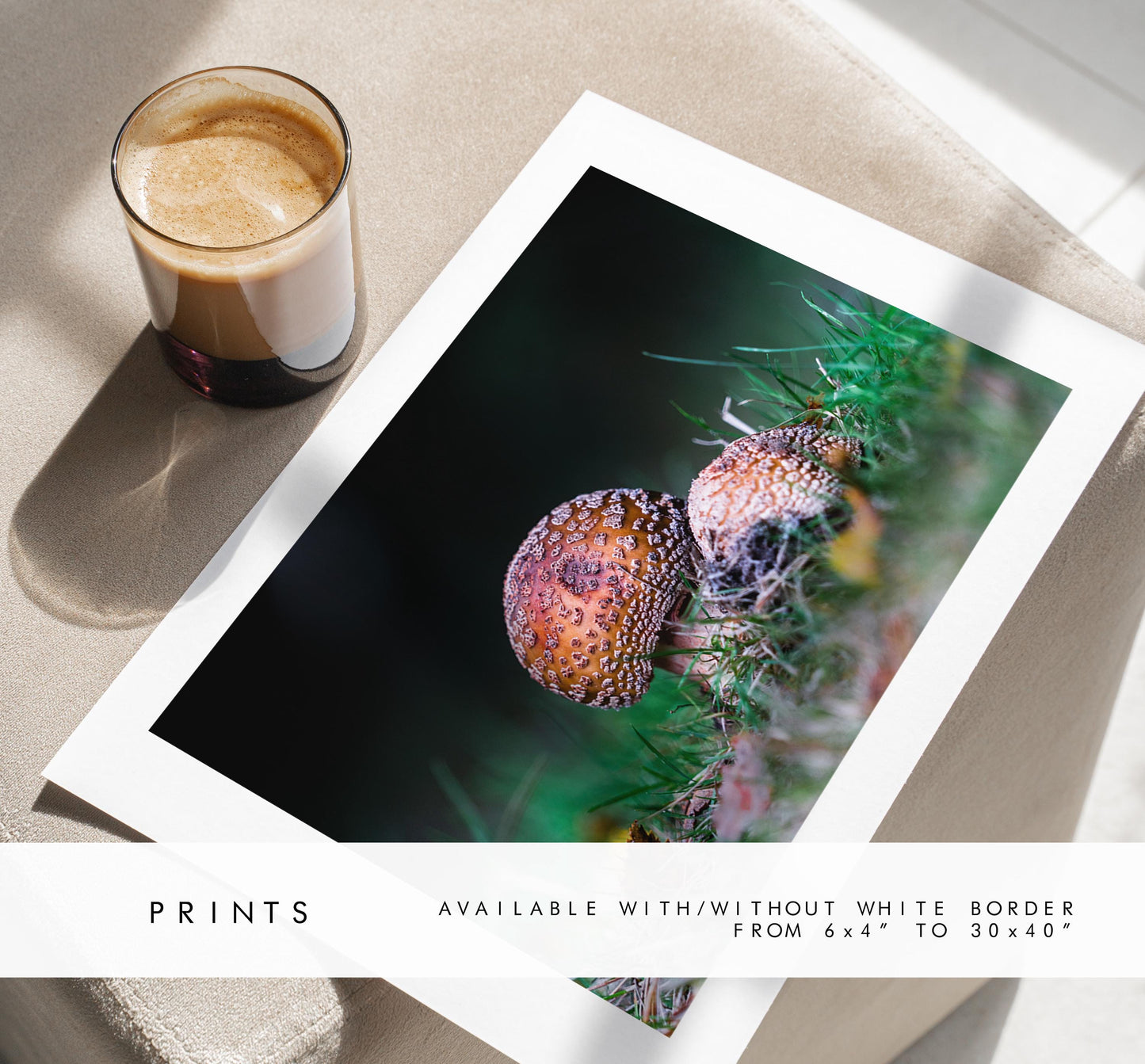 Funghi Photography Print - Hampshire Photography Prints - Wall Art -  Frame and Canvas Options - Landscape  - UK