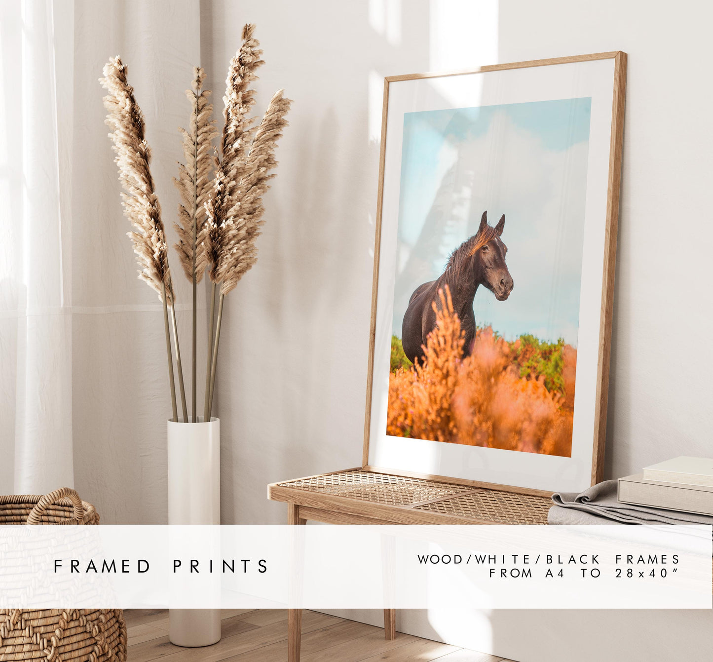 Horse Photography Print - New Forest - Hampshire Photography Prints - Wall Art -  Frame and Canvas Options - Portrait  - UK