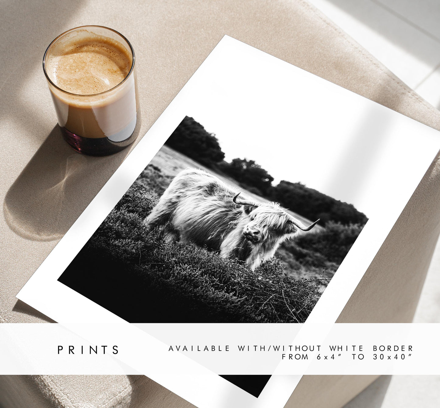 Highland Cow Black and White Photography Print - New Forest - Hampshire Photography Prints - Wall Art -  Frame and Canvas Options - Portrait