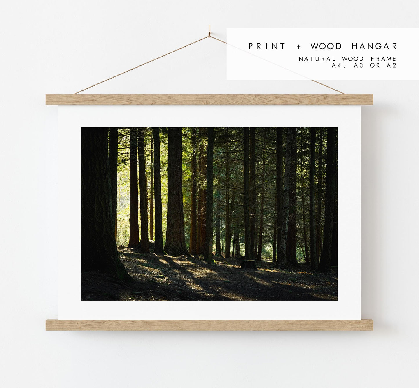 New Forest Photography Print - Hampshire Photography Prints - Wall Art -  Frame and Canvas Options - Landscape  - UK
