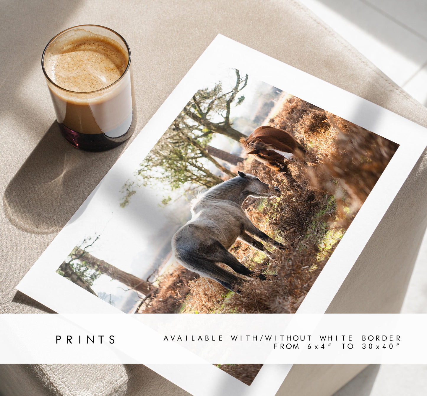 New Forest Ponies Photography Print - Hampshire Photography Prints - Wall Art -  Frame and Canvas Options - Landscape  - UK