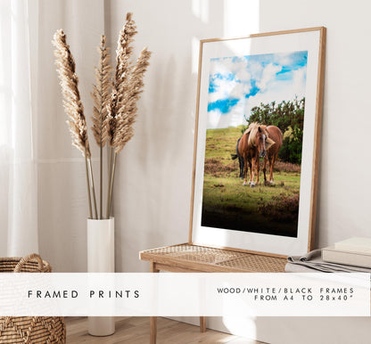 New Forest Pony Photography Print - Hampshire Photography Prints - Wall Art -  Frame and Canvas Options - Portrait  - UK