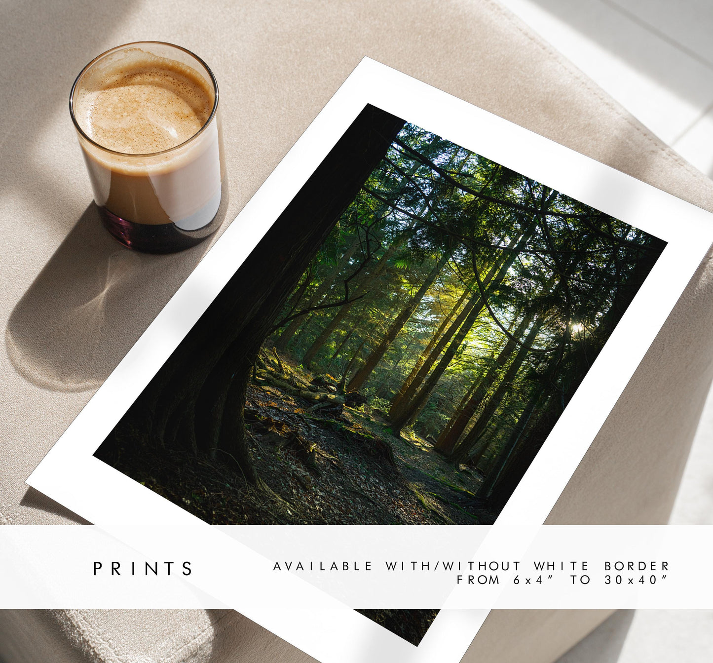 Forest Photography Print - New Forest - Hampshire Photography Prints - Wall Art -  Frame and Canvas Options - Portrait  - UK