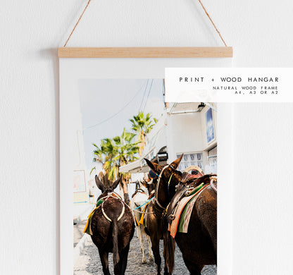 Santorini Donkey Photography Print - Greece - Print - Poster - Santorini Photography - Greece Wall Art - Donkey - Donkeys - Thera - Fira