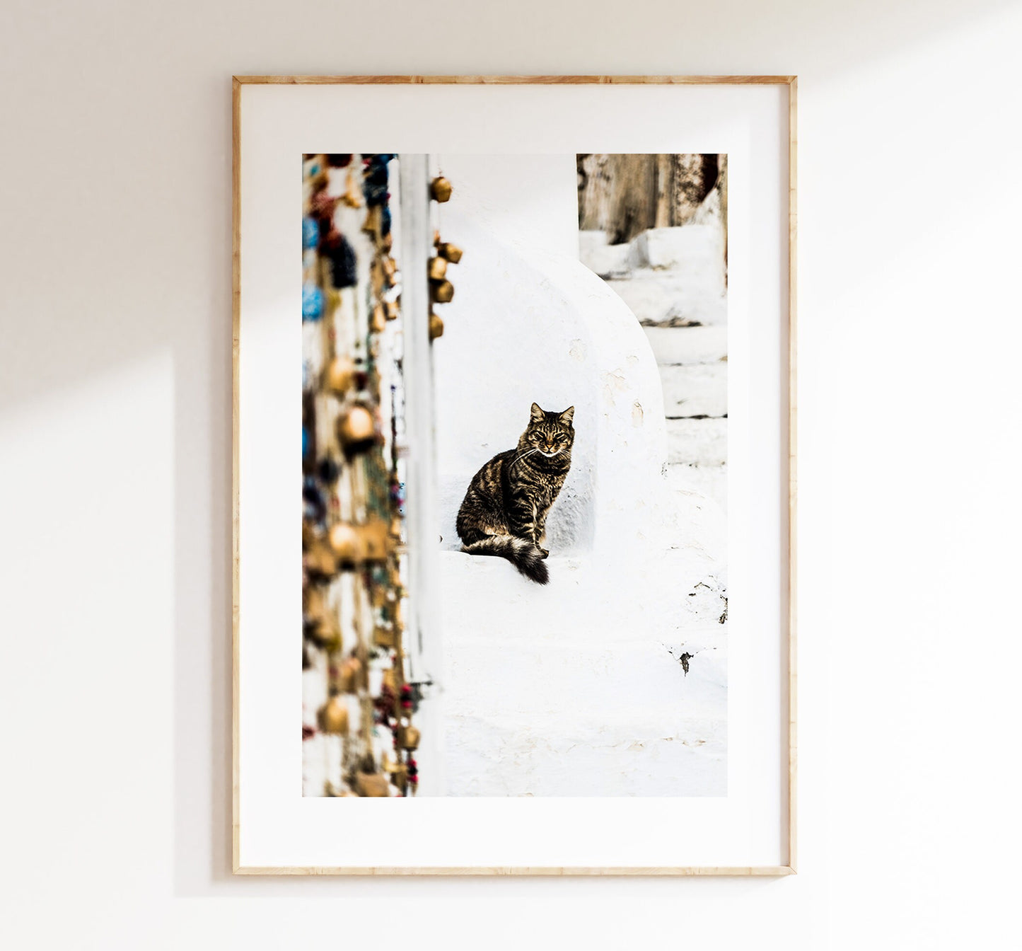 Cat Print - Greece - Print - Poster - Santorini Photography - Greece Wall Art - Fine Art Photography - Santorini Cats - Greek Wall Art