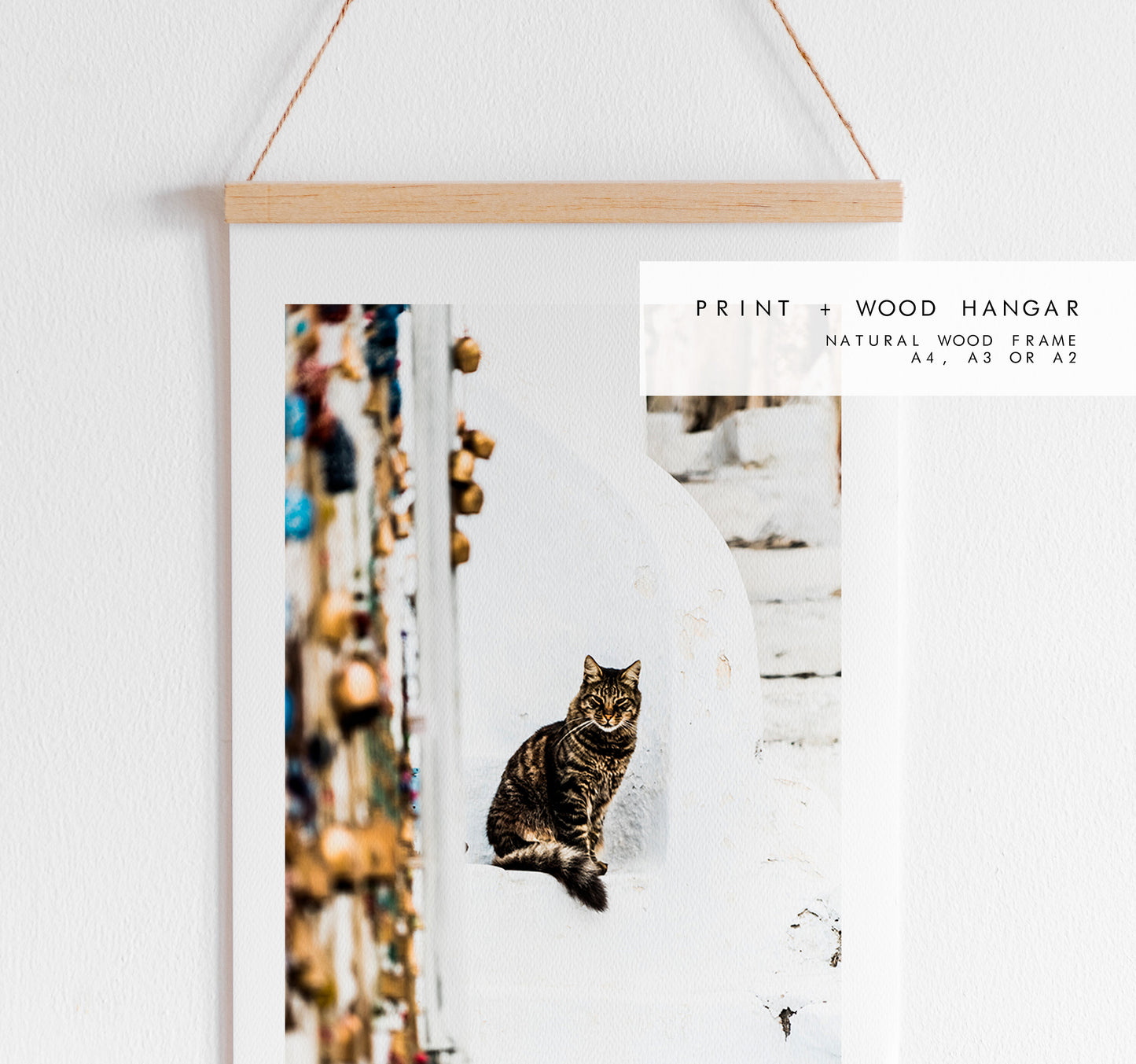 Cat Print - Greece - Print - Poster - Santorini Photography - Greece Wall Art - Fine Art Photography - Santorini Cats - Greek Wall Art