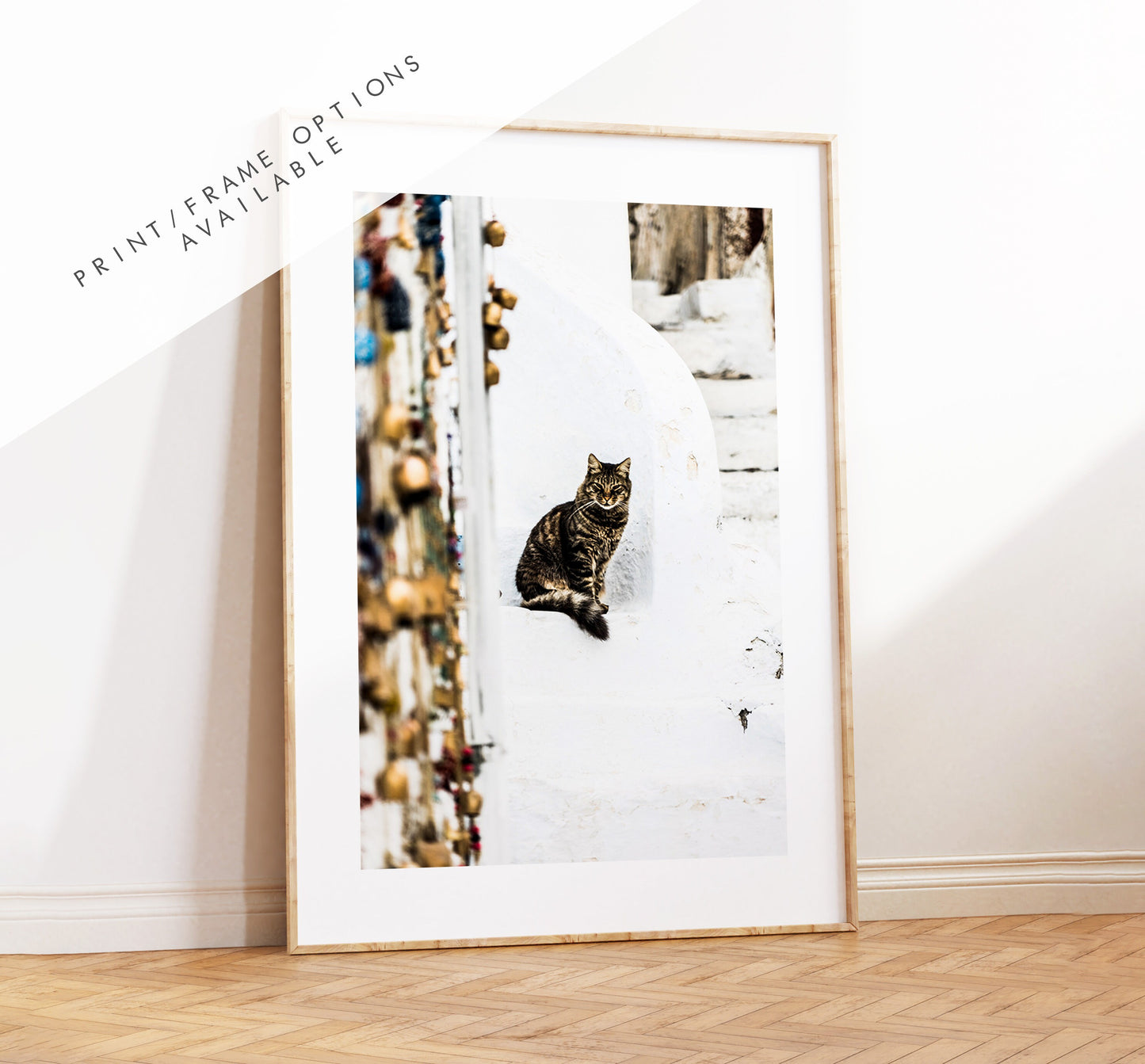 Cat Print - Greece - Print - Poster - Santorini Photography - Greece Wall Art - Fine Art Photography - Santorini Cats - Greek Wall Art