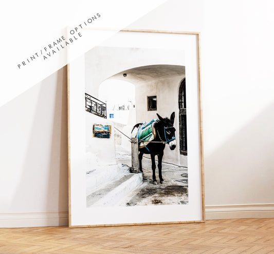 Donkey Print - Greece - Print - Poster - Santorini Photography - Greece Wall Art - Donkeys - Photography Print - Donkey Wall Art - Donkey