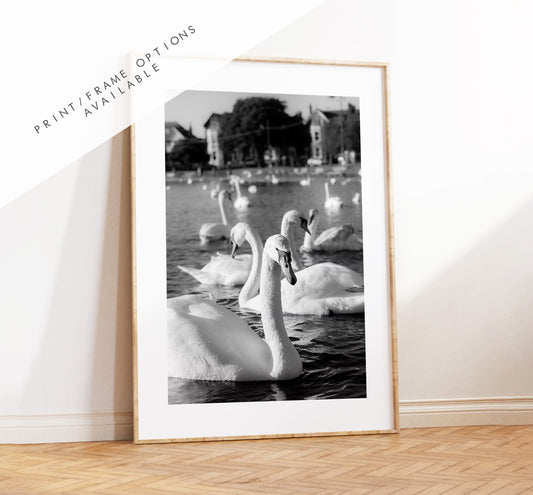 Canoe Lake Print - Photography Print - Portsmouth and Southsea Prints - Wall Art -  Frame and Canvas Options - Portrait - BW