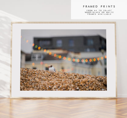 Seagull Print - Photography Print - Portsmouth and Southsea Prints - Wall Art -  Frame and Canvas Options - Landscape