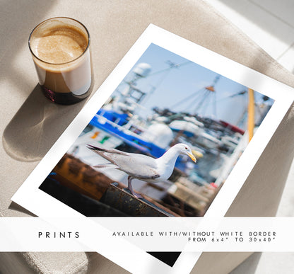 Seagull Print - Photography Print - Portsmouth and Southsea Prints - Wall Art -  Frame and Canvas Options - Portrait