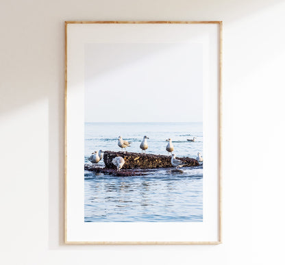 Seagull Print - Photography Print - Portsmouth and Southsea Prints - Wall Art -  Frame and Canvas Options - Portrait