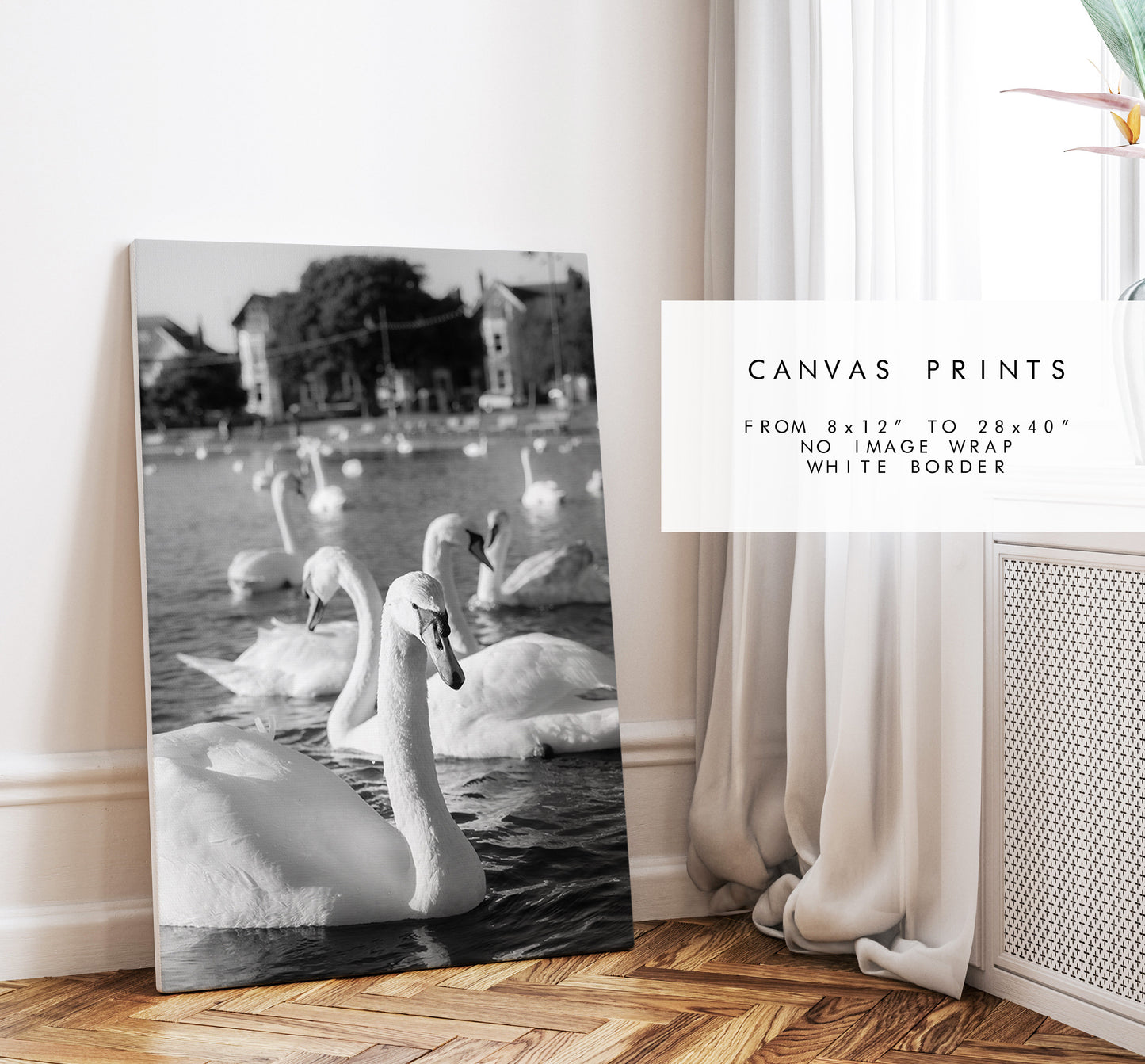 Canoe Lake Print - Photography Print - Portsmouth and Southsea Prints - Wall Art -  Frame and Canvas Options - Portrait - BW