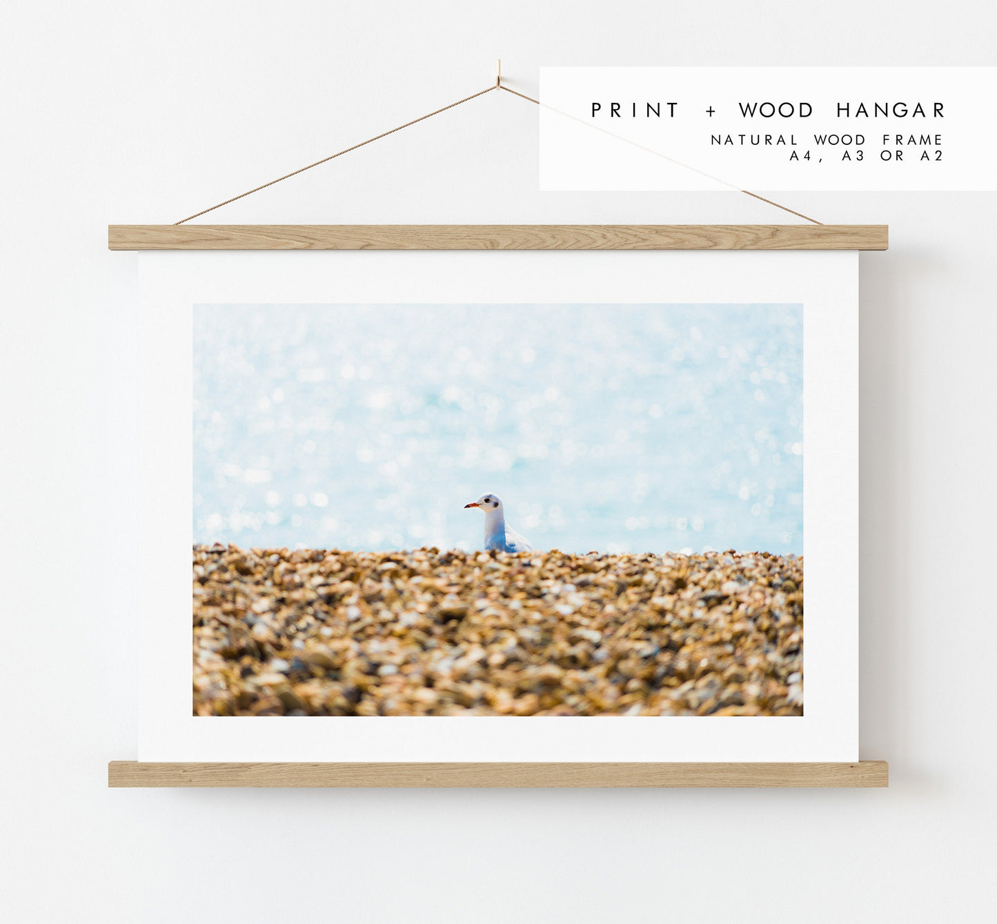 Seagull Print - Photography Print - Portsmouth and Southsea Prints - Wall Art -  Frame and Canvas Options - Landscape