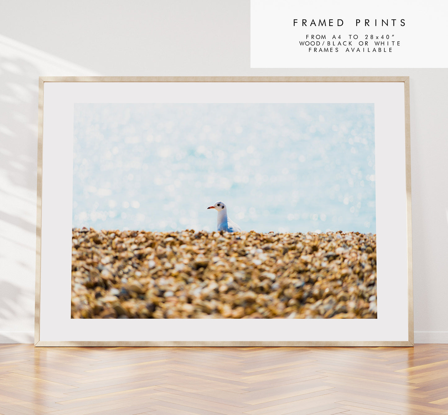 Seagull Print - Photography Print - Portsmouth and Southsea Prints - Wall Art -  Frame and Canvas Options - Landscape